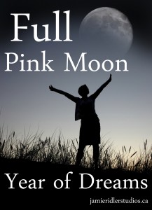 Full Pink Moon at Jamie Ridler Studios