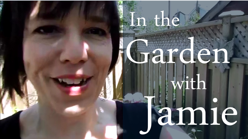 In the Garden with Jamie June 15