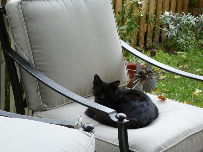 Meeting the Interloper