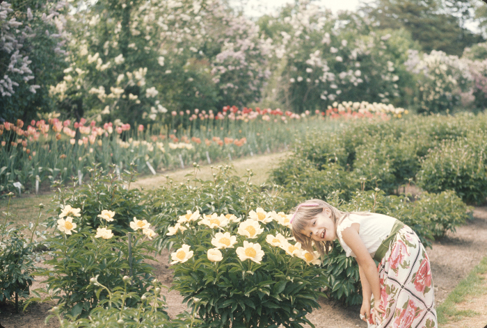 JRS Jamie Garden Magic