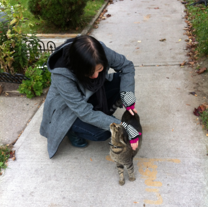 Mutual Love. Cats in the Hood.