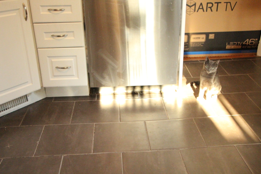 Escher & Dishwasher