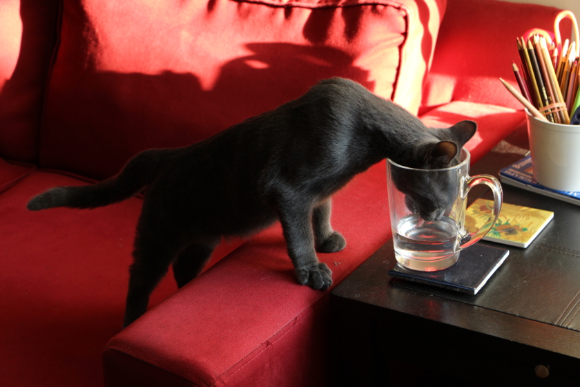 Escher & My Water