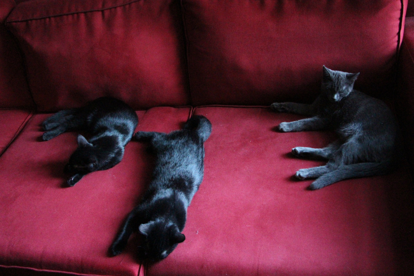 Triplets on Couch