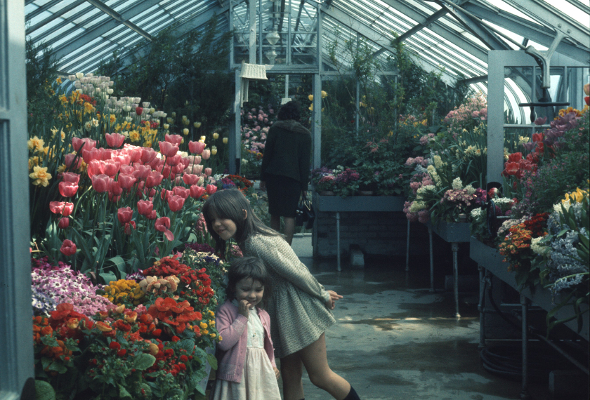 Jamie and Suzie Greenhouse