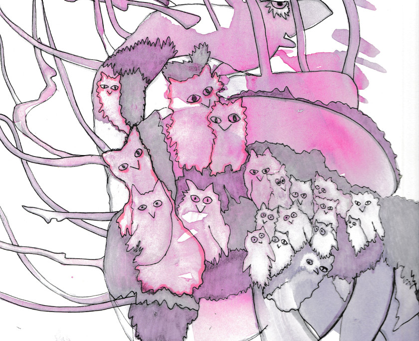 Escape of the Owls and a Cat