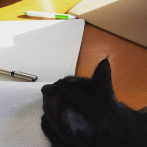 Scout Helps Me Journal