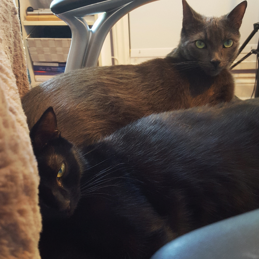 Escher & Shibumi