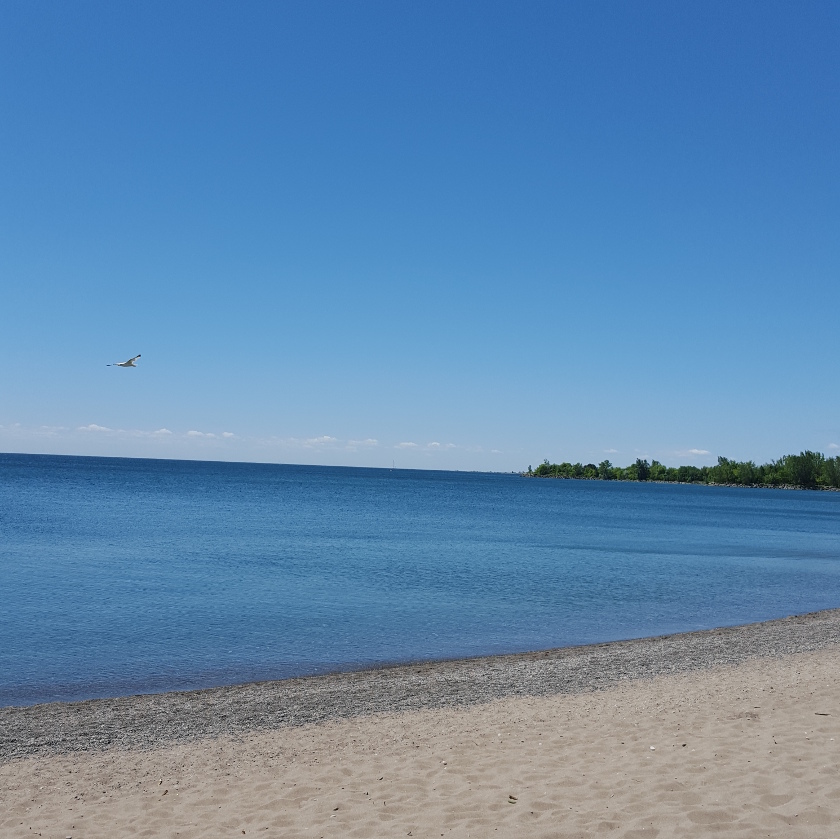 At the Lake