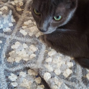 Escher on Jinx's Blanket