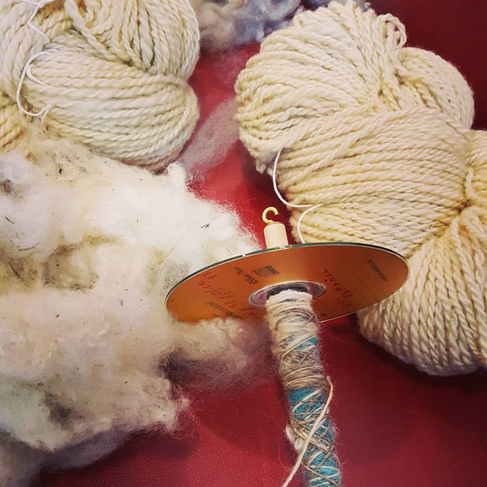 Learning to Spin Wool