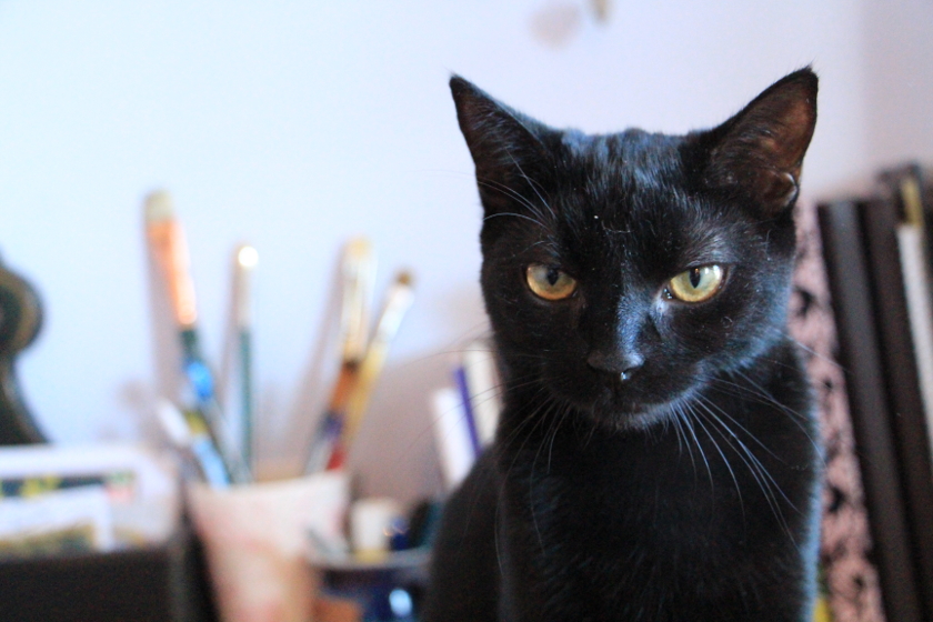 Shibumi in the Studio Portrait