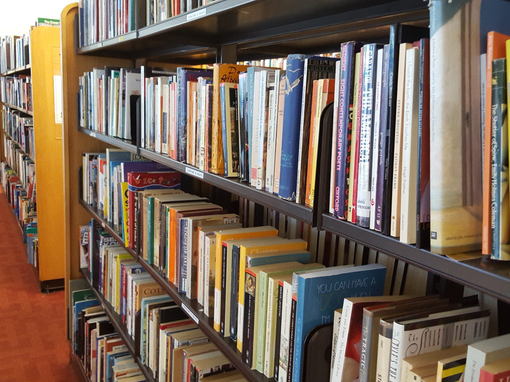 Library Book Shelves