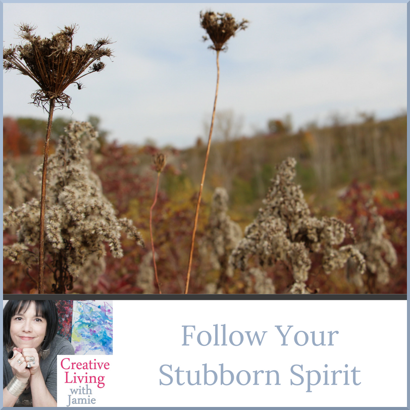 Creative Living with Jamie 2.0 Follow Your Stubborn Spirit