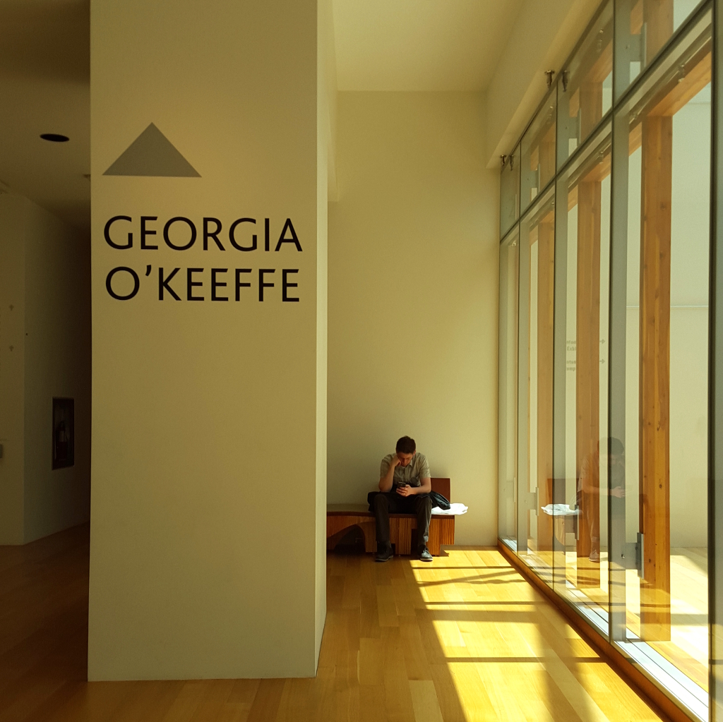 Justin at Georgia OKeeffe