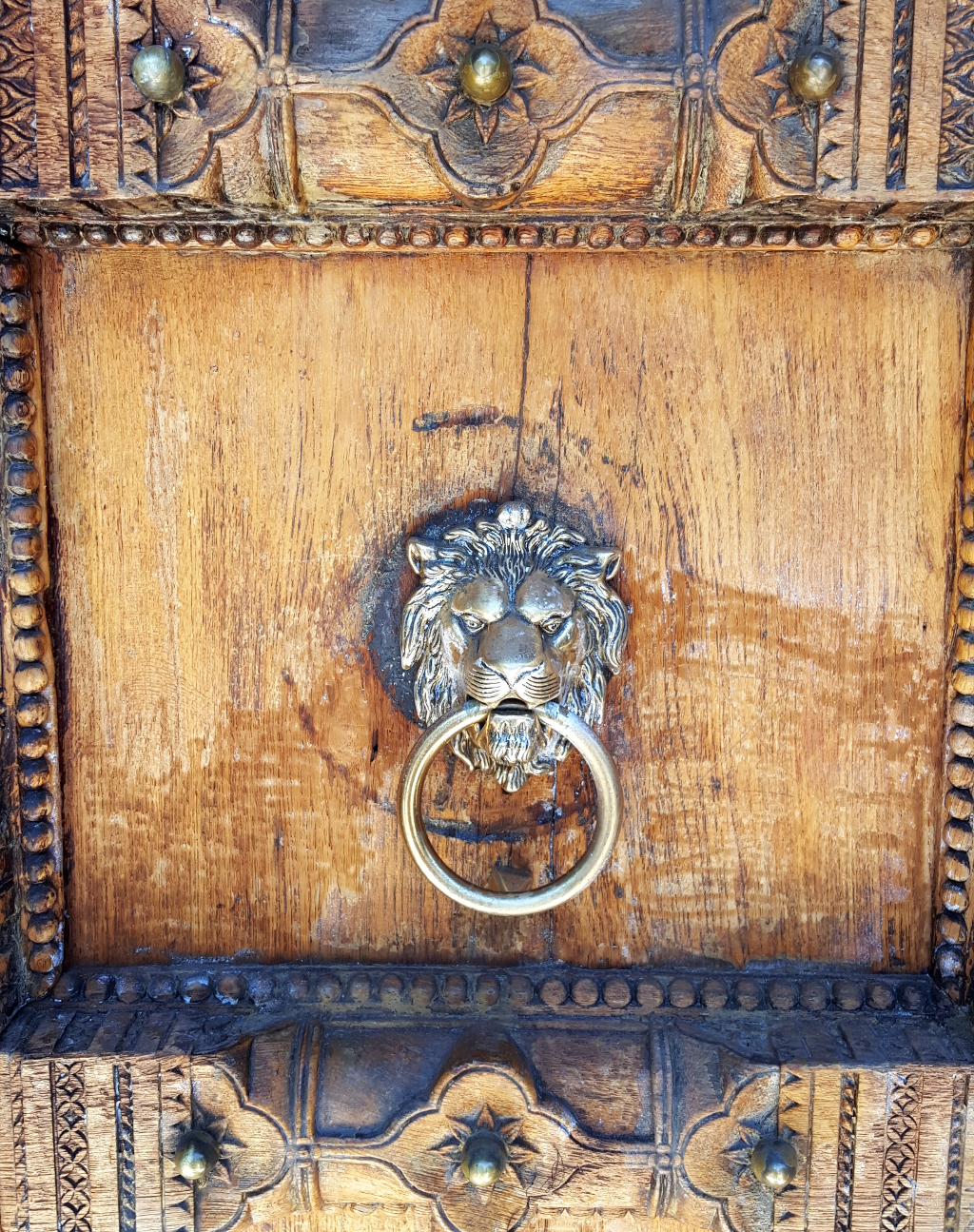 Lion Velvet Door
